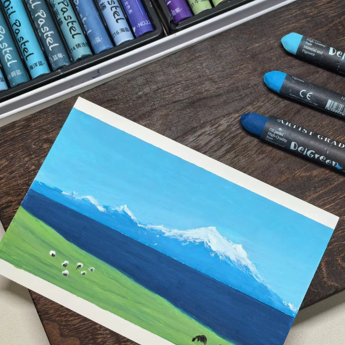 Varden Ultra -Soft Rich oil Pastels Set，48 Colors