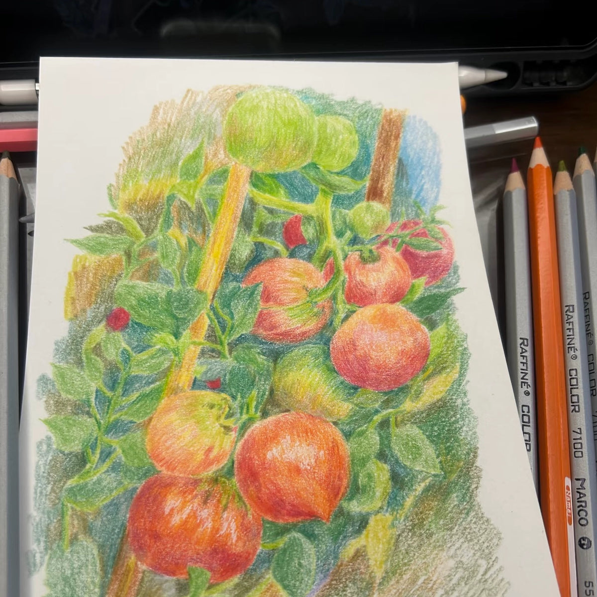 Varden Ulrta-Smooth Rich Colored Pencils, 24 Colors