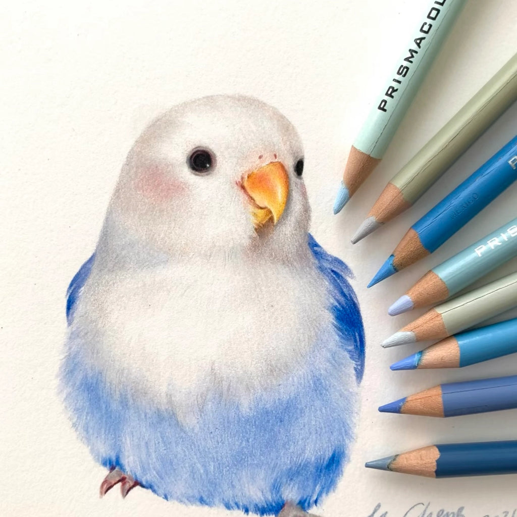 Varden Ulrta-Smooth Rich Colored Pencils, 24 Colors